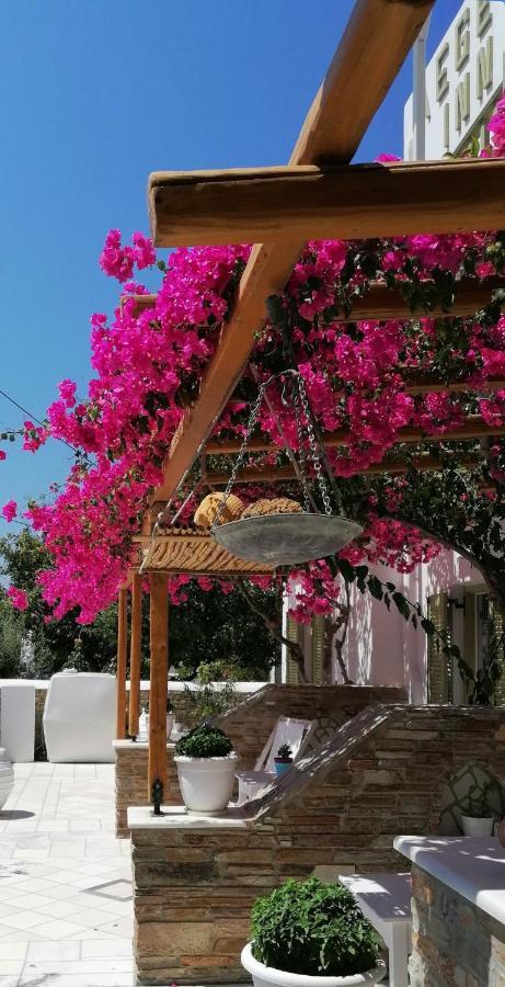 Aegeo Inn Antiparos Town Exteriér fotografie
